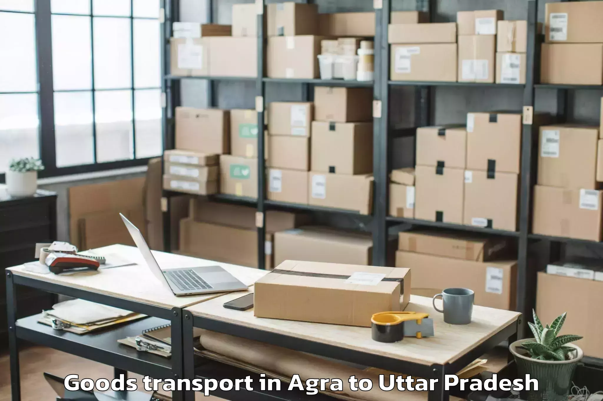 Discover Agra to Auraiya Goods Transport